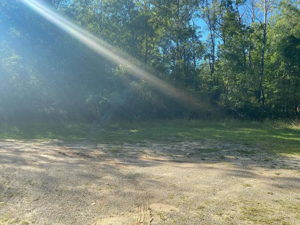 Cowlitz Cove Evart Township MI 49631