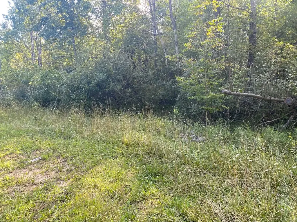 Cowlitz Cove Evart Township MI 49631