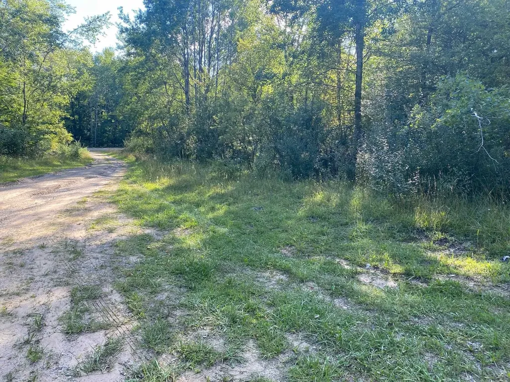 Cowlitz Cove Evart Township MI 49631