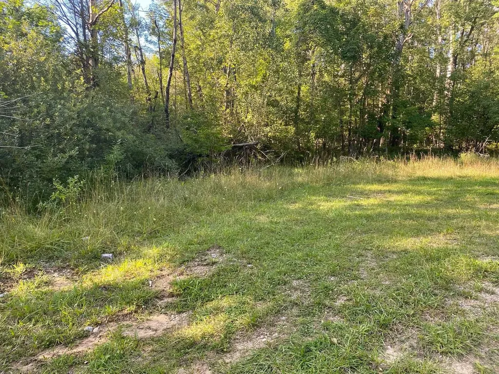 Cowlitz Cove Evart Township MI 49631