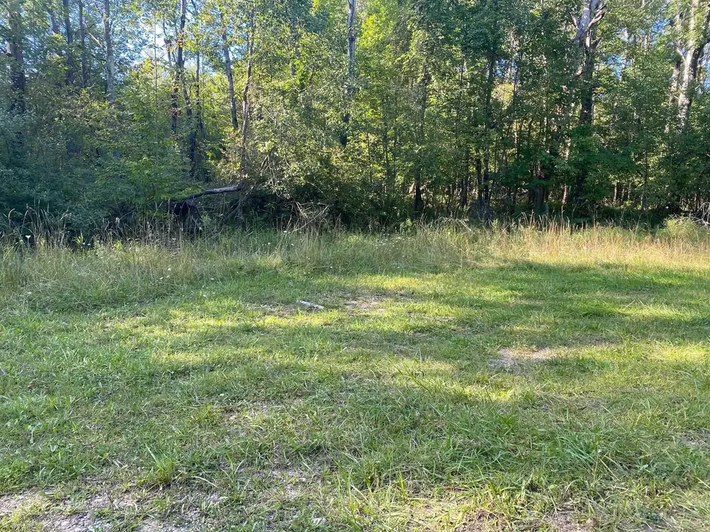 Cowlitz Cove Evart Township MI 49631
