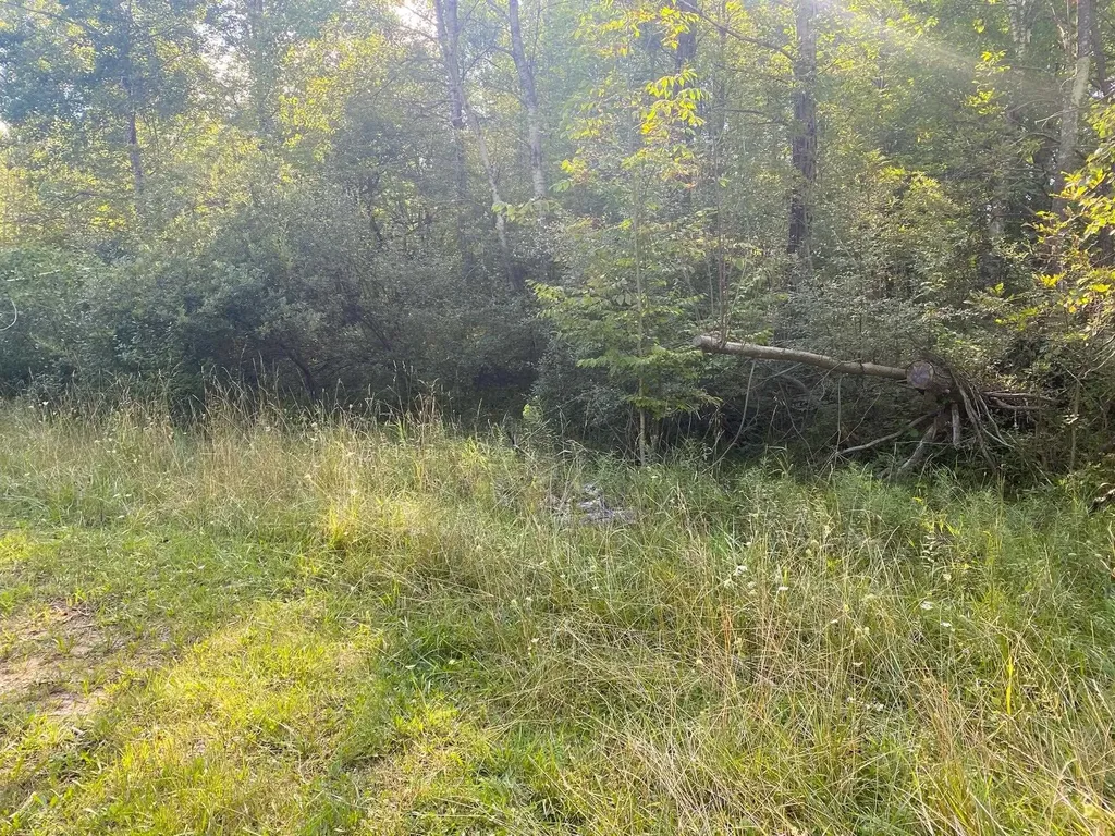 Cowlitz Cove Evart Township MI 49631