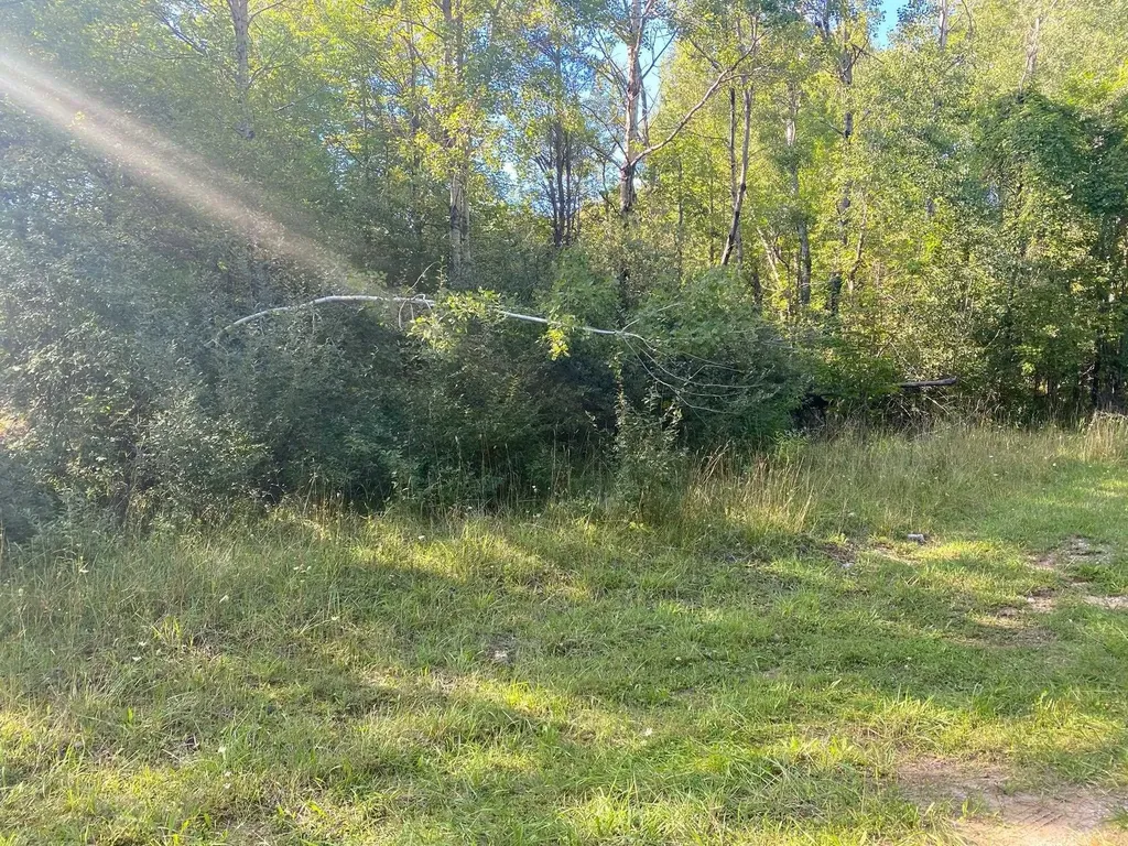 Cowlitz Cove Evart Township MI 49631