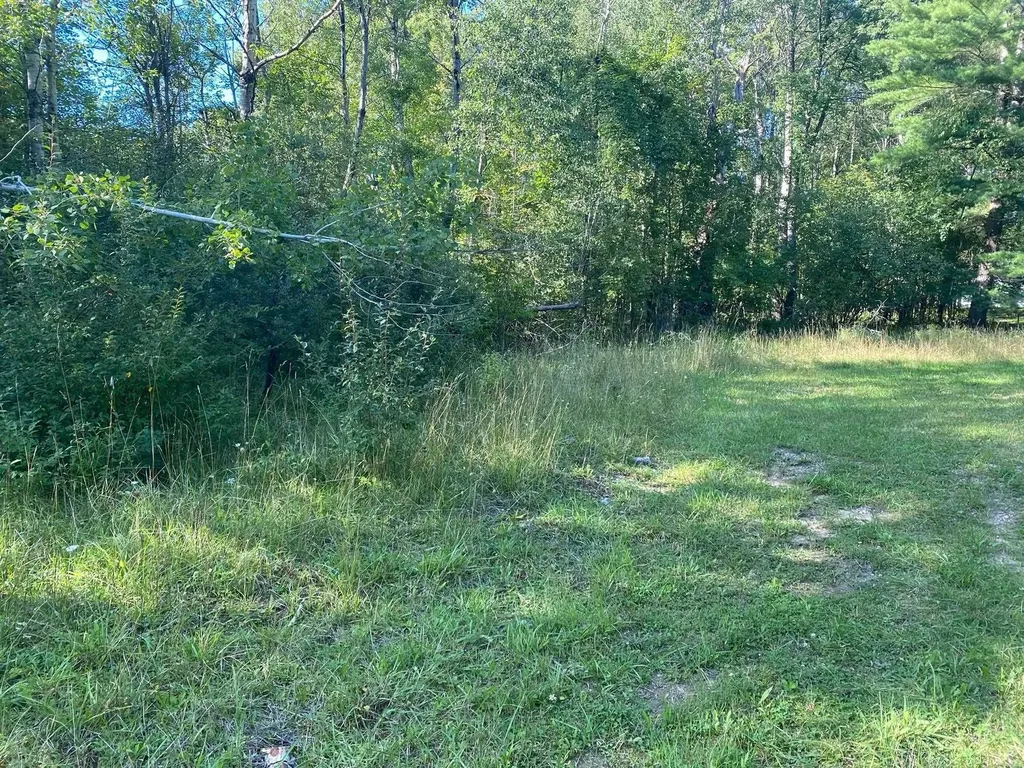Cowlitz Cove Evart Township MI 49631