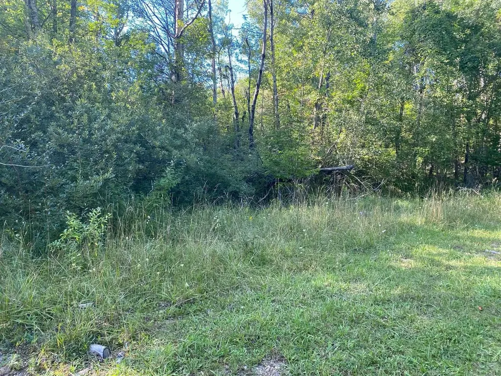 Cowlitz Cove Evart Township MI 49631