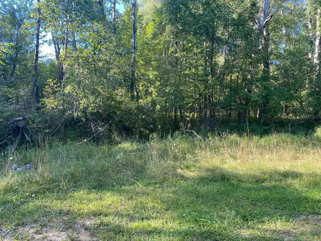 Cowlitz Cove Evart Township MI 49631