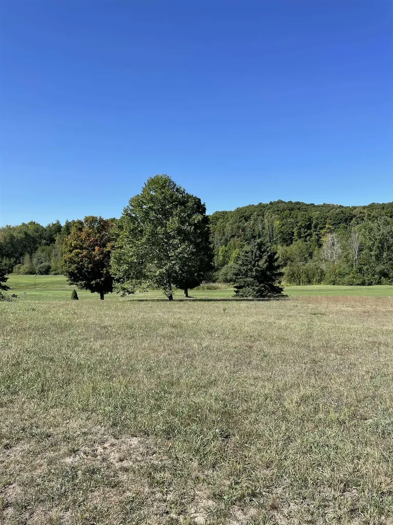 Fairway Court Torch Lake Township MI 49648