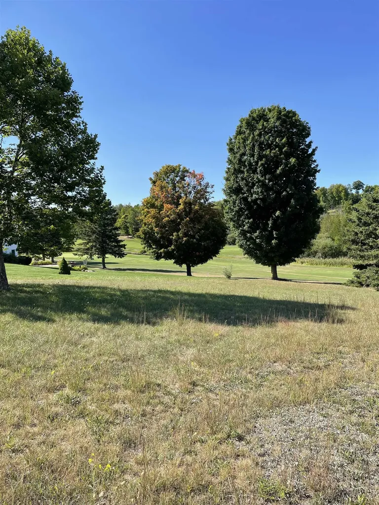 Fairway Court Torch Lake Township MI 49648