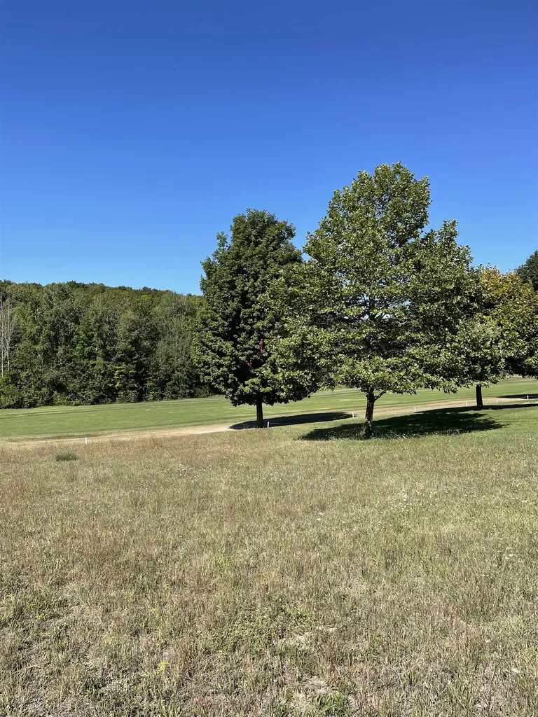 Fairway Court Torch Lake Township MI 49648