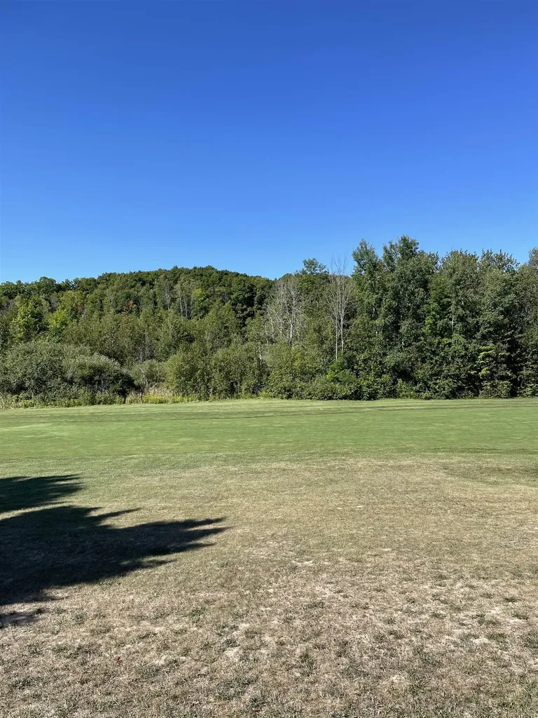 Fairway Court Torch Lake Township MI 49648