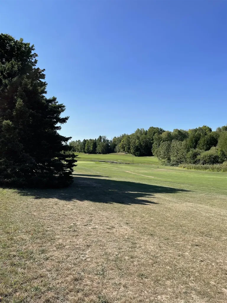 Fairway Court Torch Lake Township MI 49648