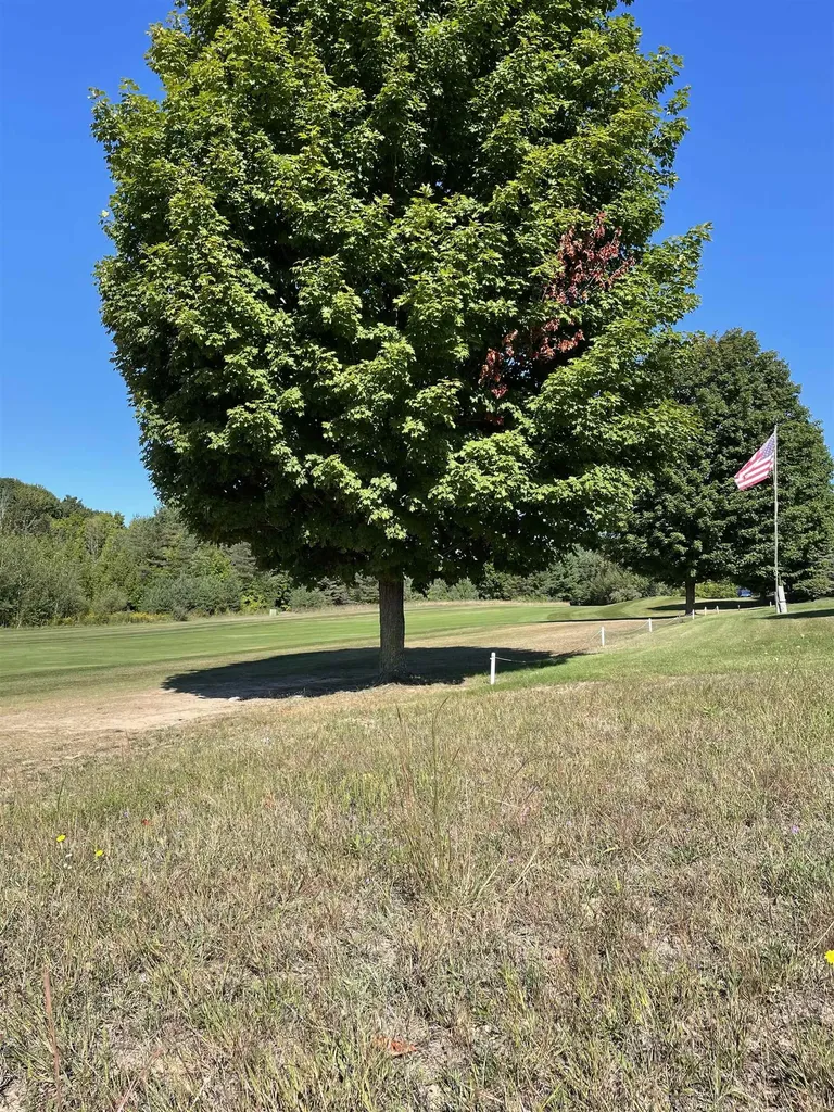Fairway Court Torch Lake Township MI 49648