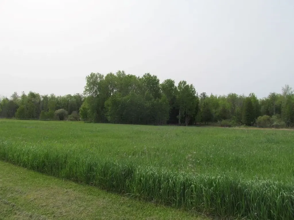 0 Hemlock Street Riverside Township MI 49657