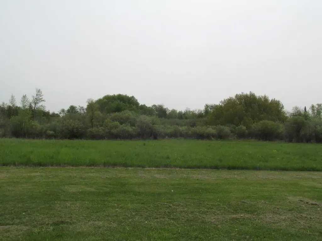 Lot #21 Hemlock Street Riverside Township MI 49657