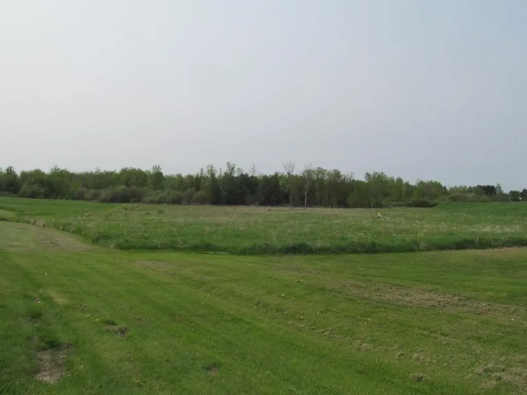 Lot #21 Hemlock Street Riverside Township MI 49657