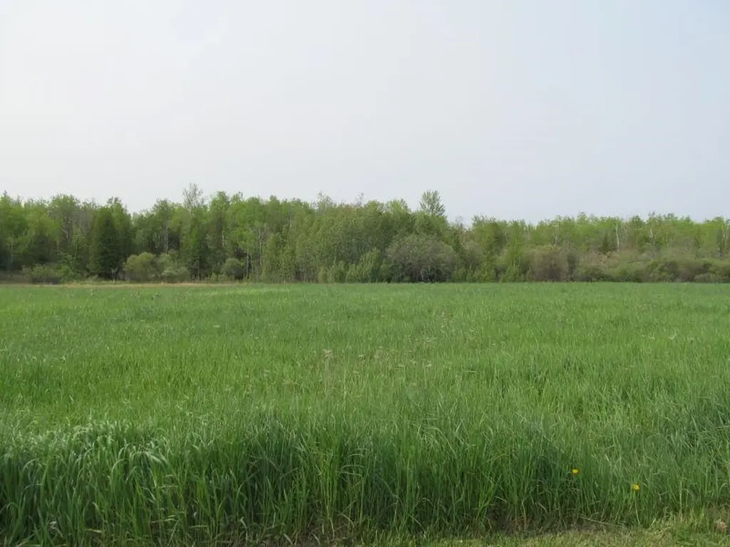 Lot #20 Hemlock Street Riverside Township MI 49657