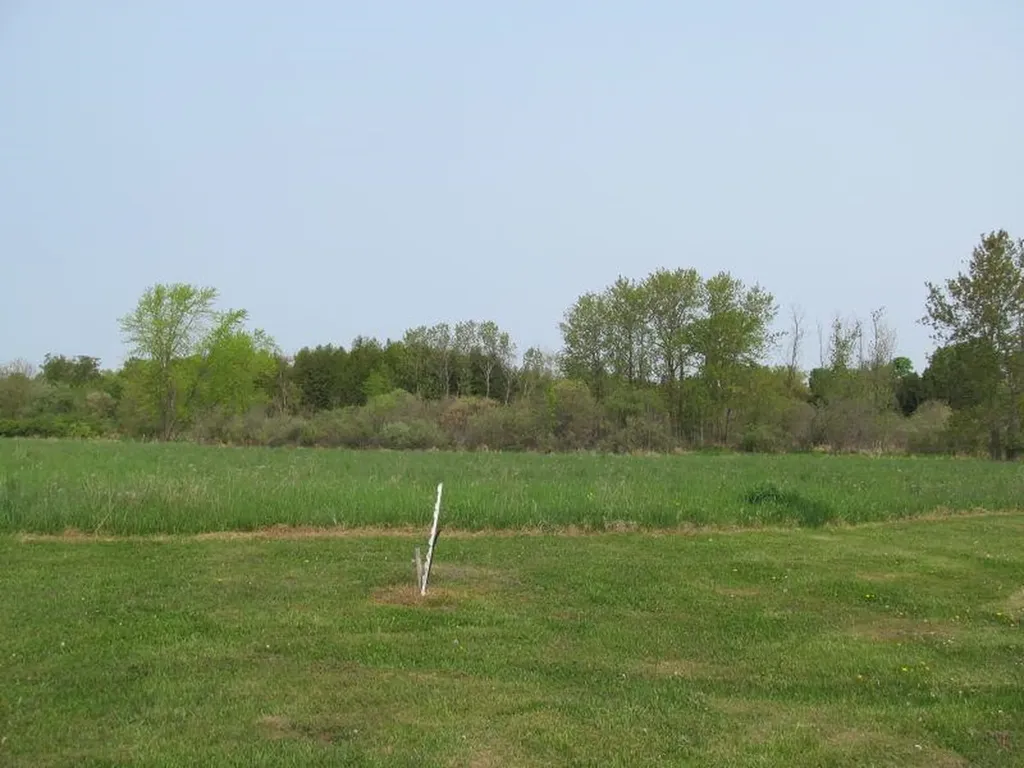 Lot #20 Hemlock Street Riverside Township MI 49657