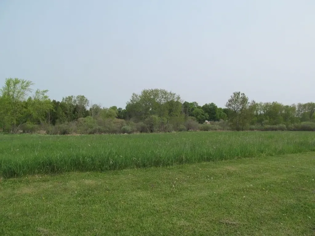 Lot #20 Hemlock Street Riverside Township MI 49657