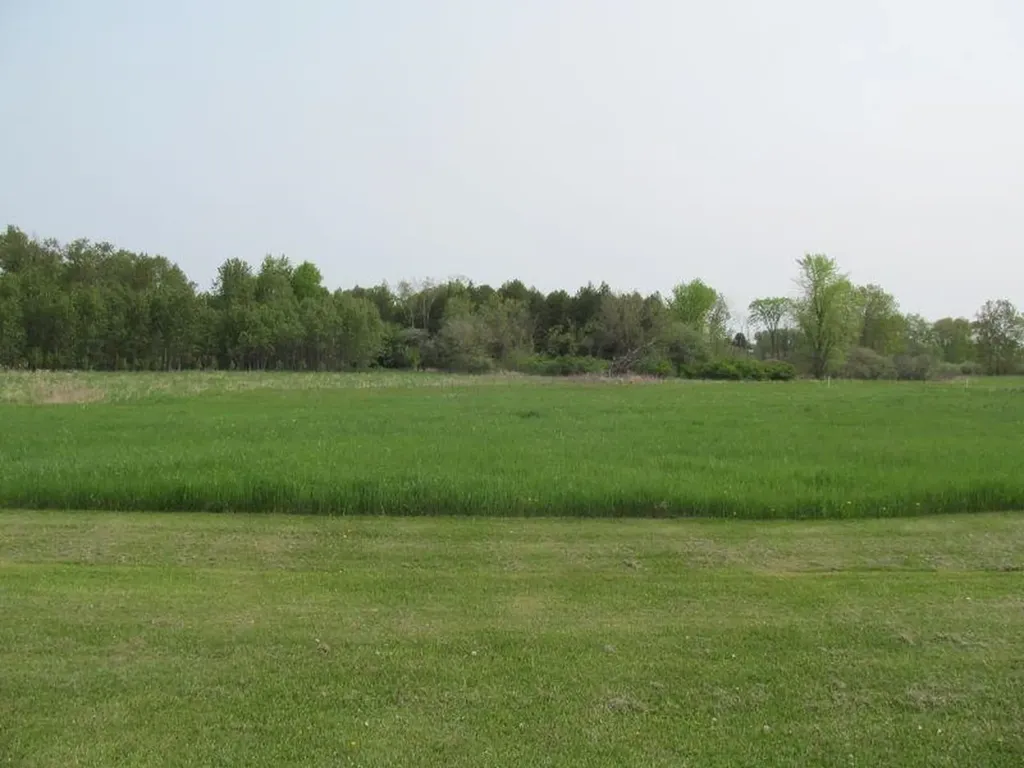 Lot #19 Hemlock Street Riverside Township MI 49657