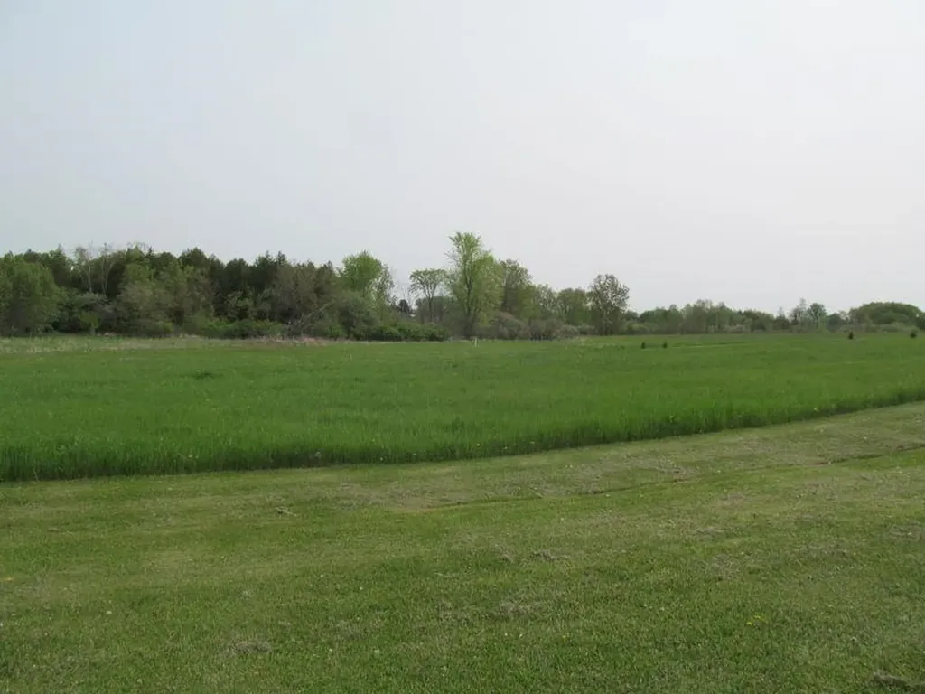 Lot #19 Hemlock Street Riverside Township MI 49657