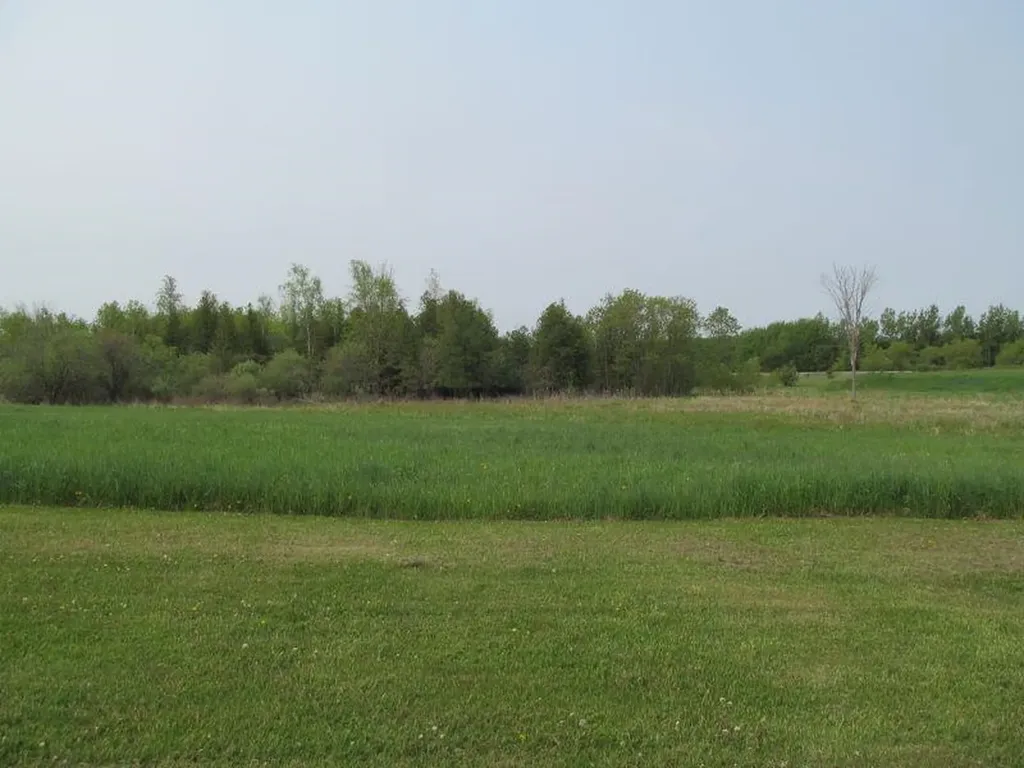 Lot #17 Hemlock Street Riverside Township MI 49657