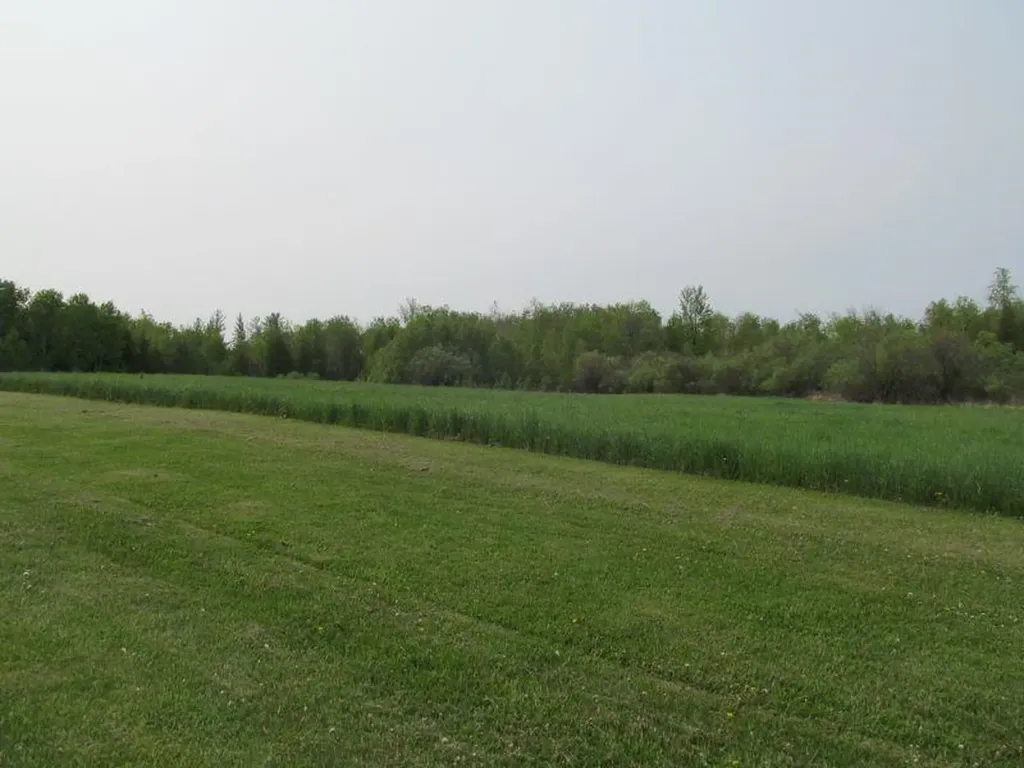 Lot #17 Hemlock Street Riverside Township MI 49657