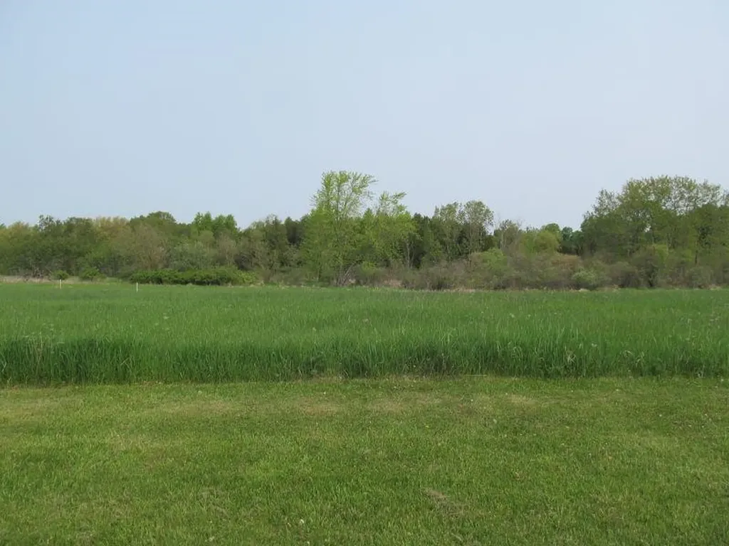 Lot #12 Hemlock Street Riverside Township MI 49657