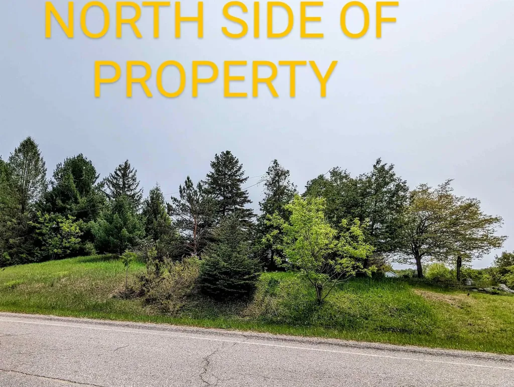 1 Fairway Court Torch Lake Township MI 49648