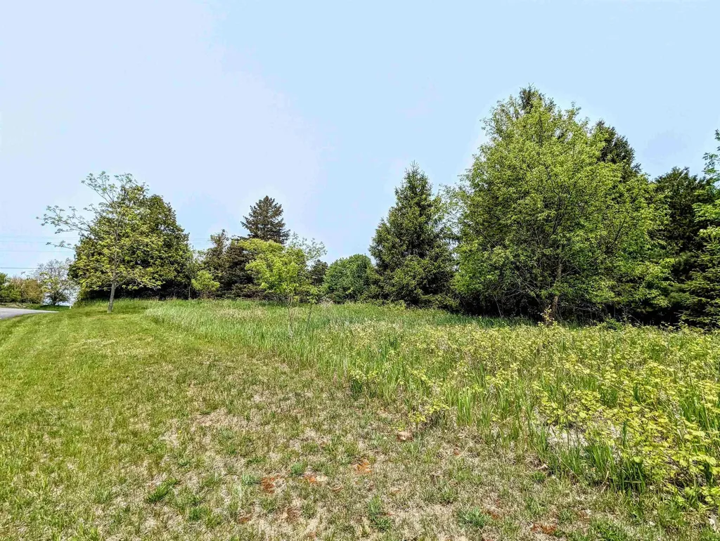 1 Fairway Court Torch Lake Township MI 49648