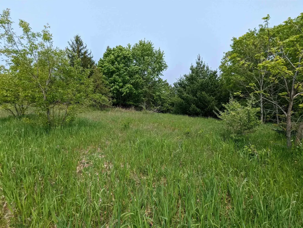 1 Fairway Court Torch Lake Township MI 49648