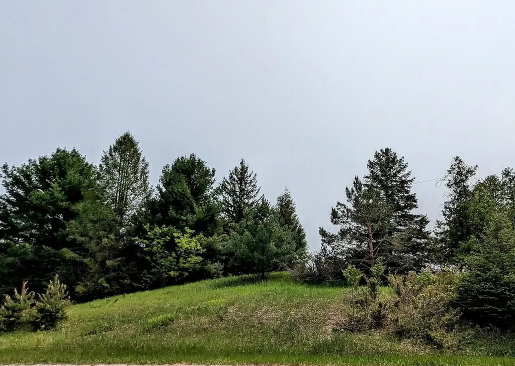 1 Fairway Court Torch Lake Township MI 49648