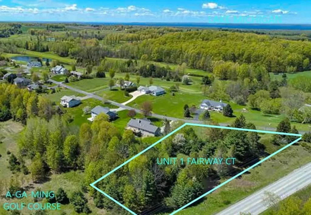 1 Fairway Court Torch Lake Township MI 49648