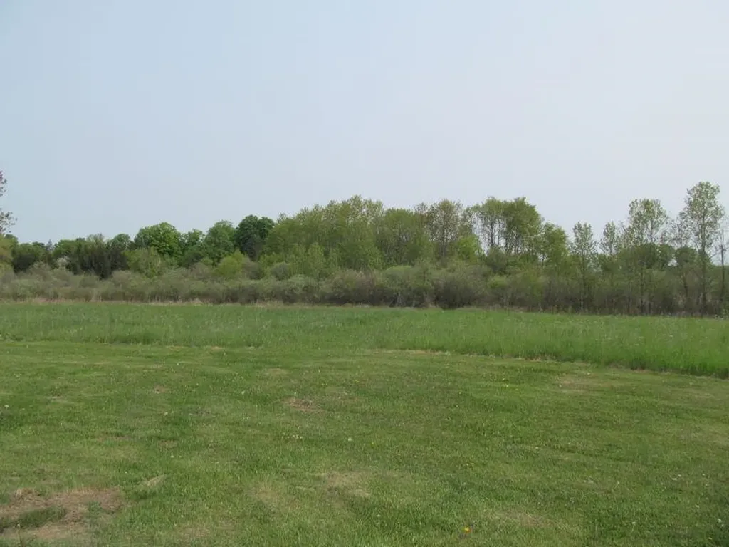 Lot #10 Hemlock Street Riverside Township MI 49657