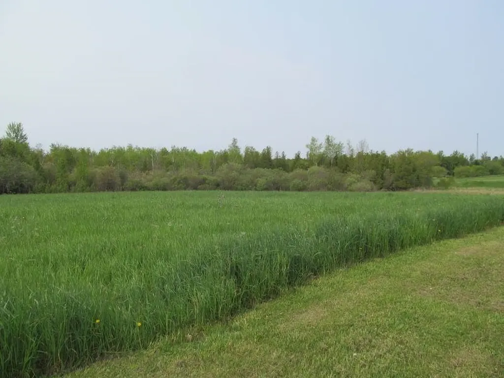 Lot #9 Hemlock Street Riverside Township MI 49657