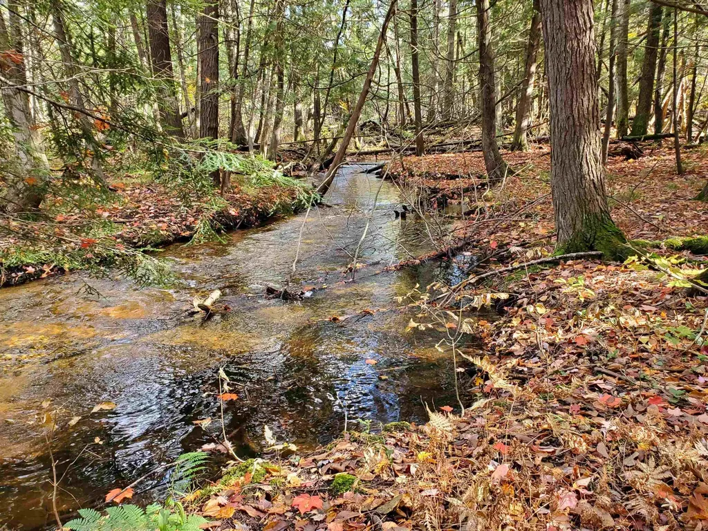 Lot 42 Alden Meadows Helena Township MI 49612