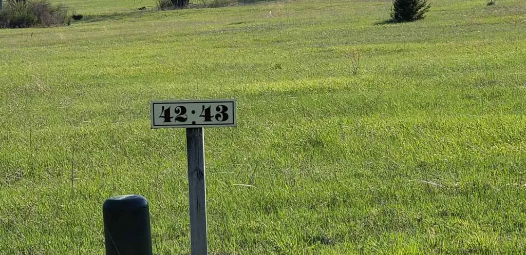 Lot 42 Alden Meadows Helena Township MI 49612