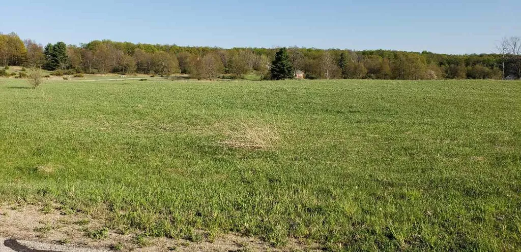 Lot 42 Alden Meadows Helena Township MI 49612