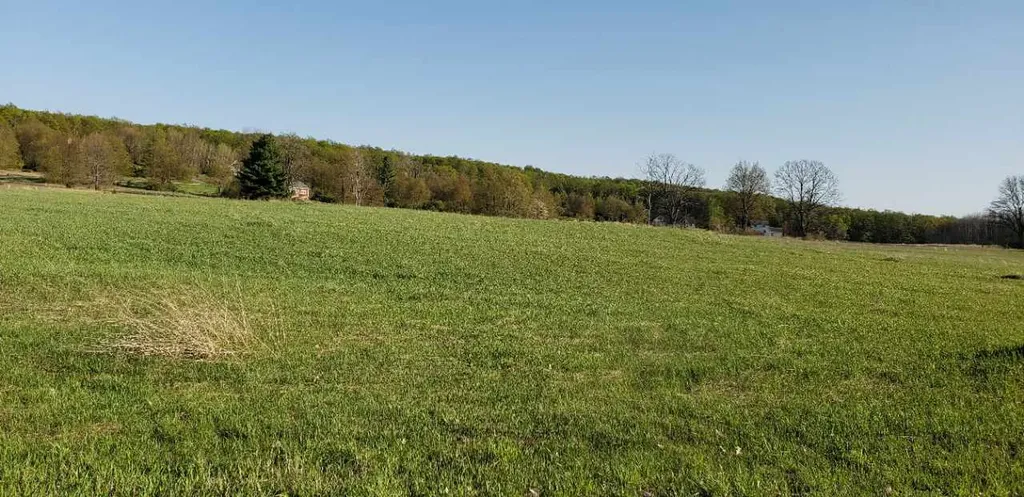 Lot 42 Alden Meadows Helena Township MI 49612