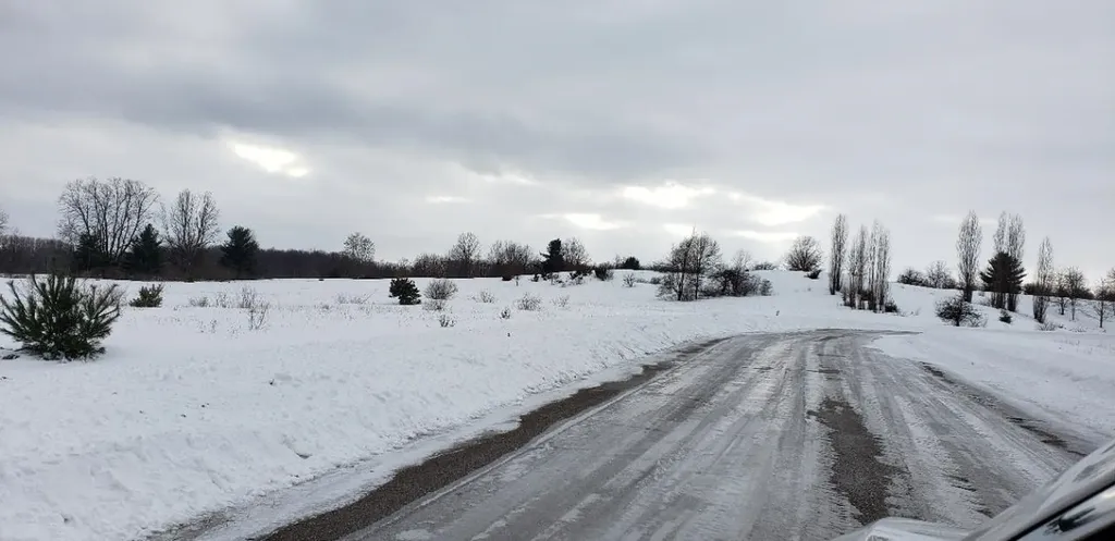 Lot 42 Alden Meadows Helena Township MI 49612