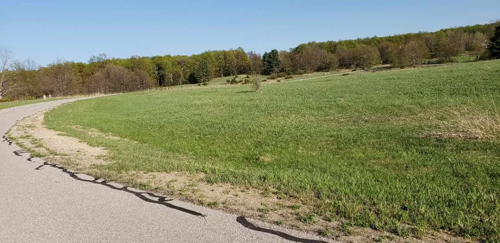 Lot 43 Alden Meadows Helena Township MI 49612