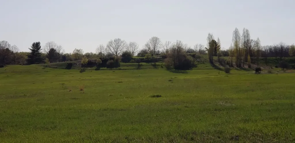 Lot 43 Alden Meadows Helena Township MI 49612