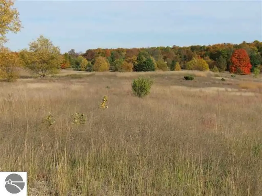 Lot 34 Alden Meadows Helena Township MI 49612