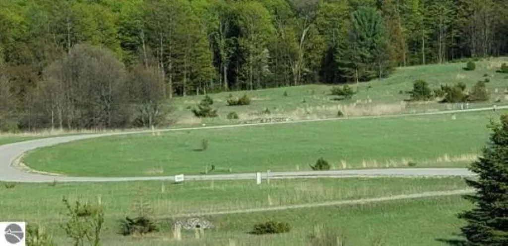 Lot 34 Alden Meadows Helena Township MI 49612