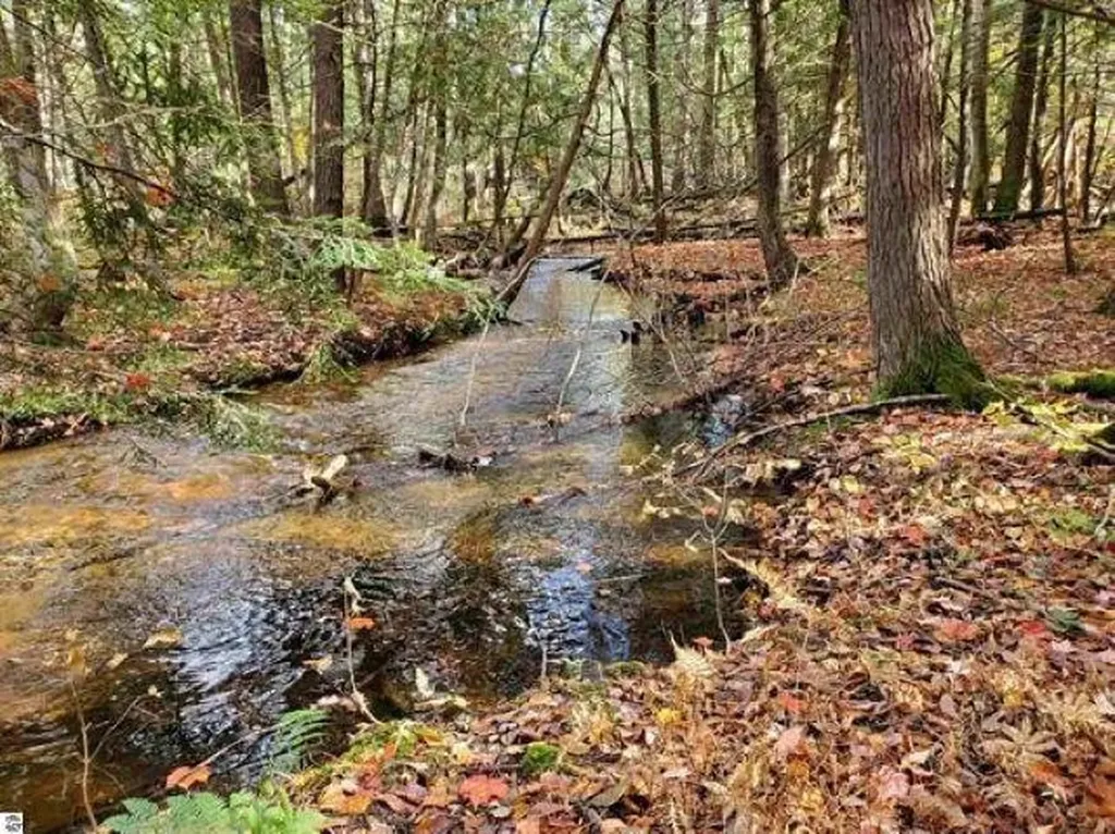 Lot 34 Alden Meadows Helena Township MI 49612