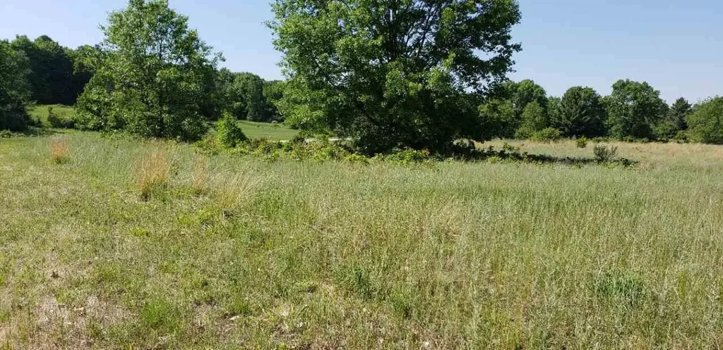 Lot 34 Alden Meadows Helena Township MI 49612