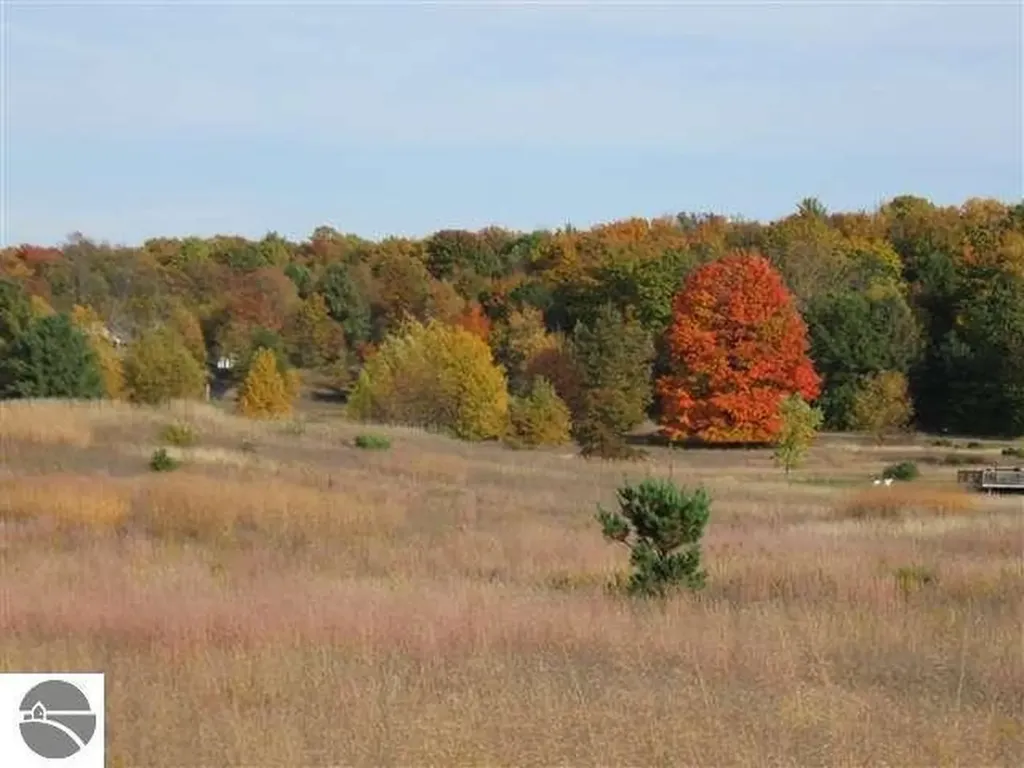 Lot 34 Alden Meadows Helena Township MI 49612