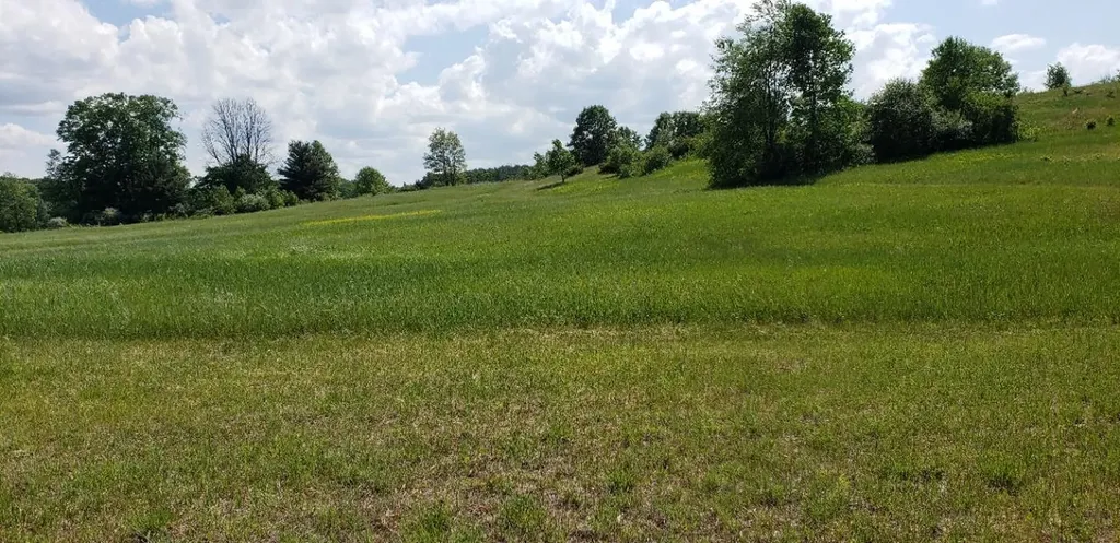 Lot 38 Alden Meadows Helena Township MI 49612