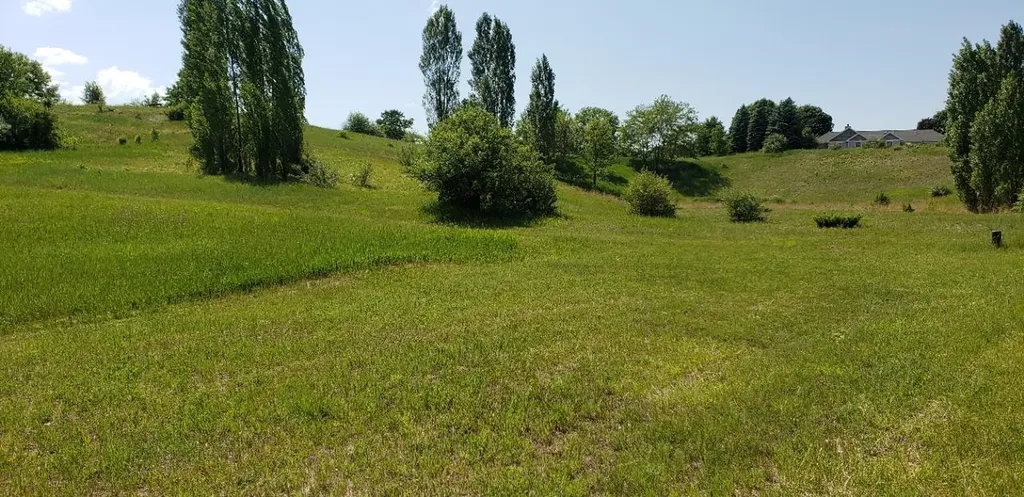 Lot 38 Alden Meadows Helena Township MI 49612