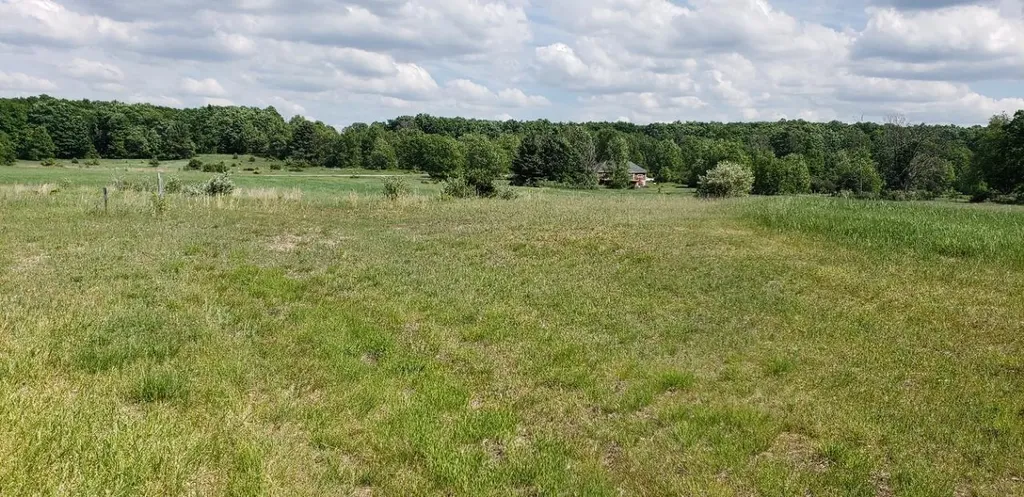 Lot 38 Alden Meadows Helena Township MI 49612