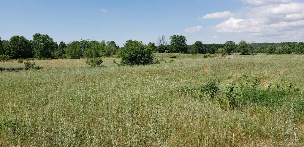 Lot 38 Alden Meadows Helena Township MI 49612